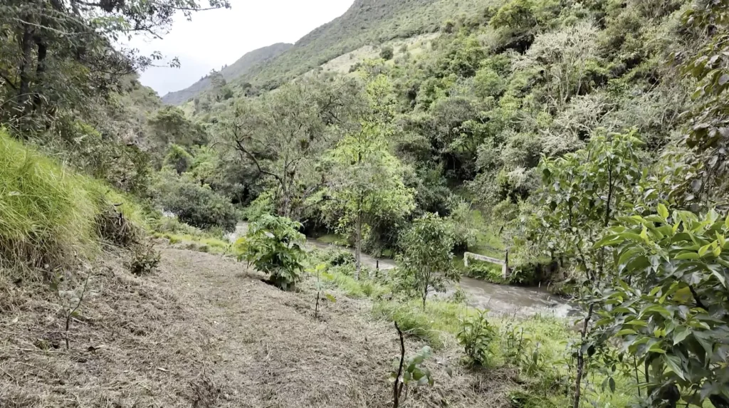 Glamping de Lujo en La Calera