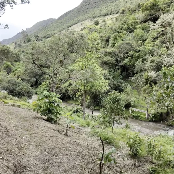 Glamping de Lujo en La Calera
